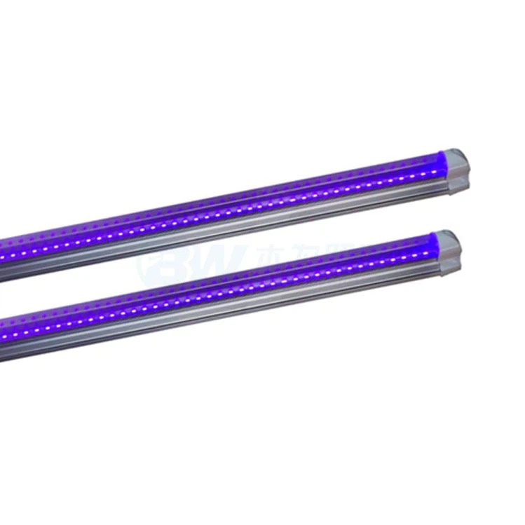 black light fluro tube