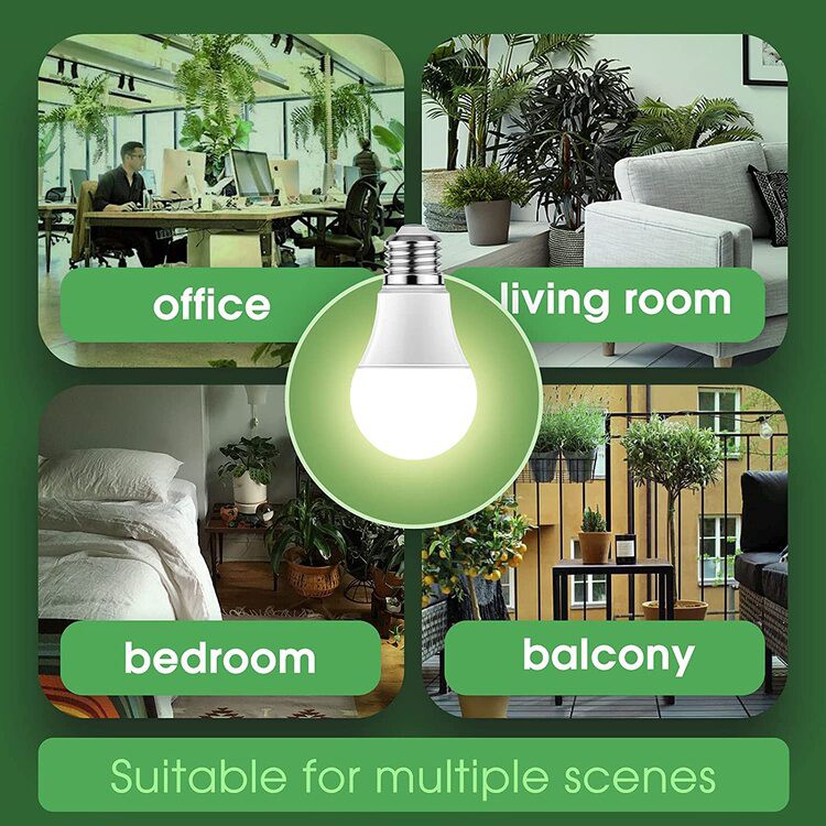 full spectrum light bulbs application full spectrum light bulbs application