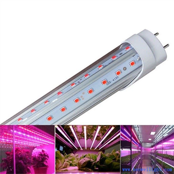 grow light garden