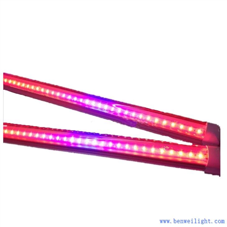 Có thể sử dụng bất kỳ ánh sáng nào làm ánh sáng phát triển không