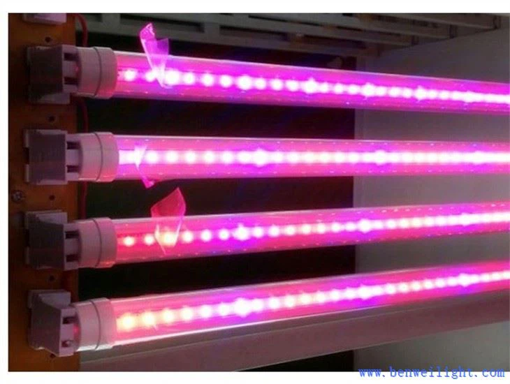 grow light bulb for plants