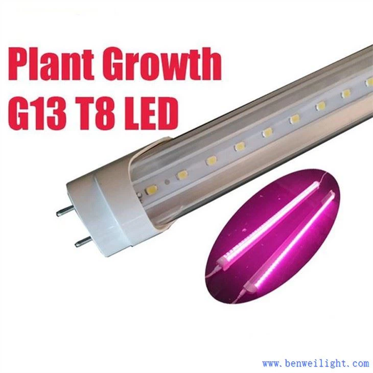 Tăng trưởng thực vật G13 T8 Led