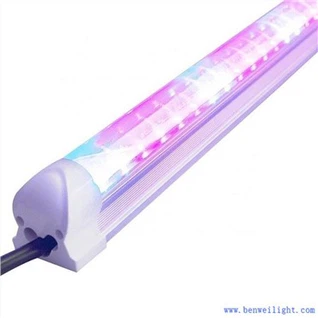 B Grow Lighting