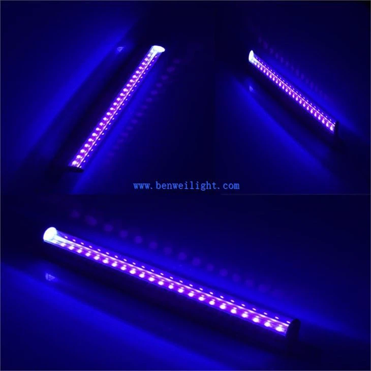 Ống đèn UV