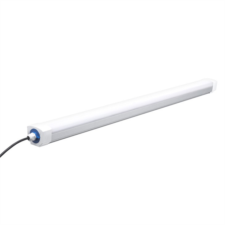 Dali Led Tri Proof Light Ánh sáng chống nước
