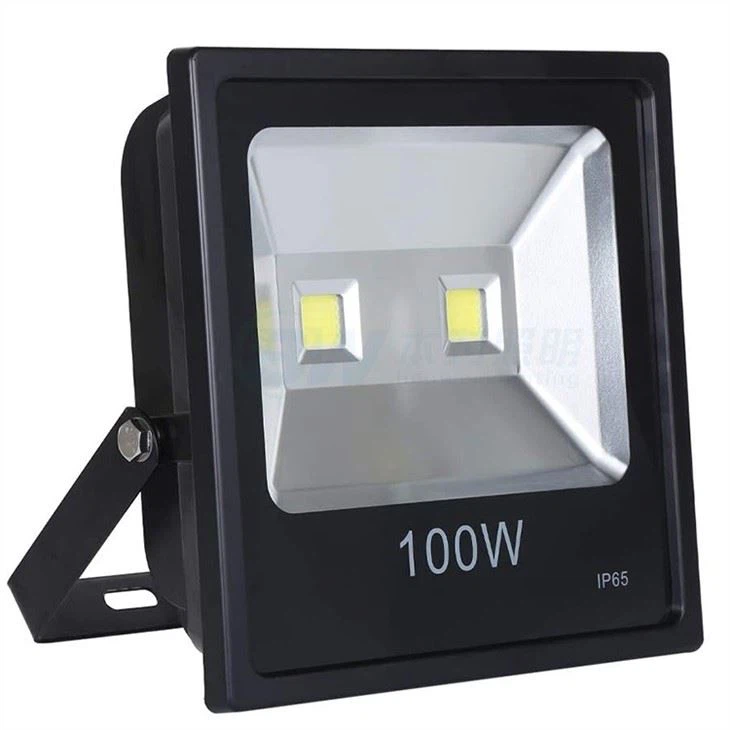 Double Floodlight With Sensor