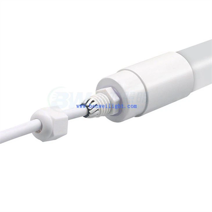 Ảnh hưởng của ánh sáng đến khả năng sinh sản của bò sữa