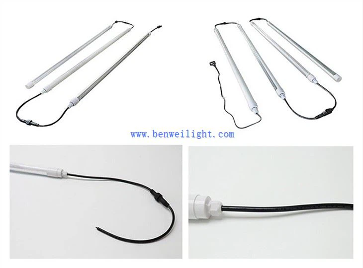 Poultry house lighting