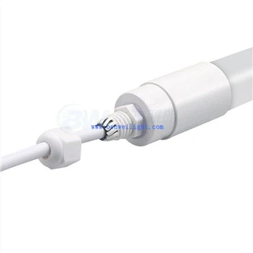 Bóng đèn trâm cài gà