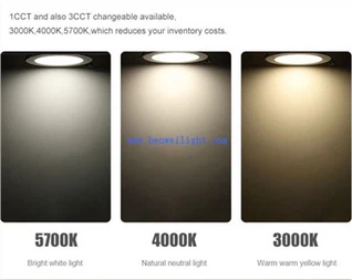 Led Downlights Bunnings