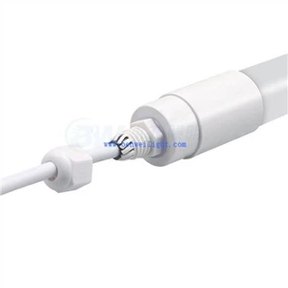 Đèn Led cho chuồng gia súc