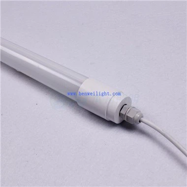 Đèn LED ống cho trại gà