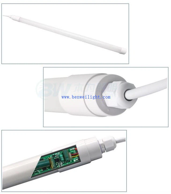 light in chicken coop at night