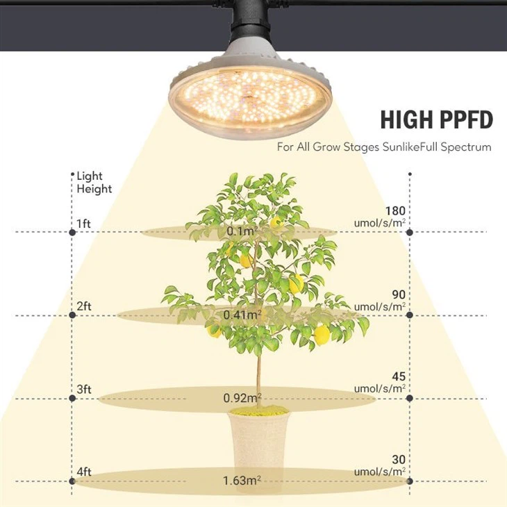 H085faaf5faf84fc782986a40b9bb6c2ft.jpg_960x960