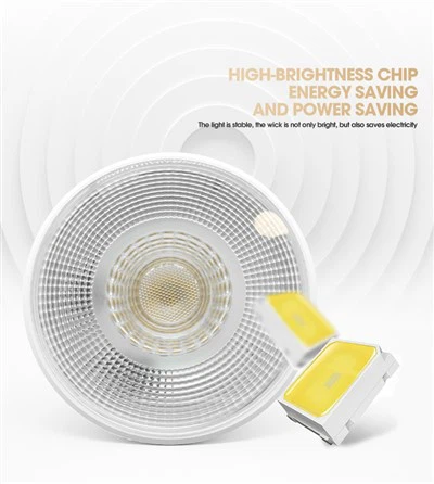 Đèn led Par30 có thể thay đổi độ sáng 15w
