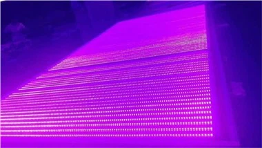 Tia cực tím UV Blacklight