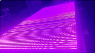 Ống đèn UV Blacklight
