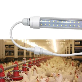 Đèn LED gia cầm mờ cho trang trại gà