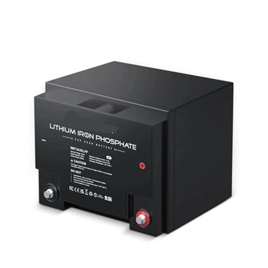 Pin Lithium Iron Phosphate 24 Volt