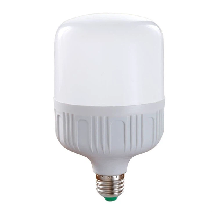 20 Watt Type T Bulb
