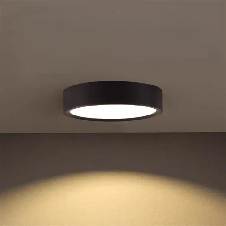 1067 Lightroom Gallery - Indoor Surface Mount LED Downlight best