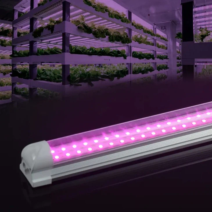 Đèn LED trồng cây 2FT T{1}}W