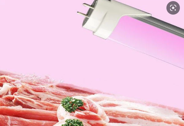 meat T8 LED Tube 2 meat T8 LED Tube 2