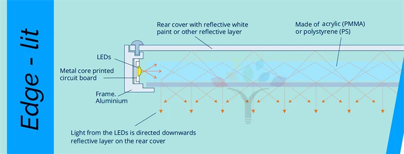 info-800-305 info-800-305