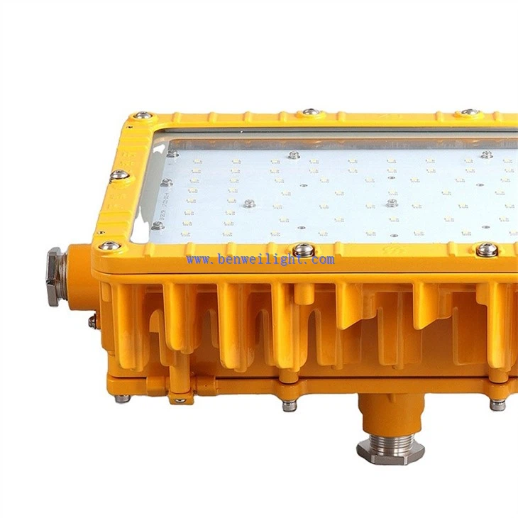 Intrinsically Safe Light (5)
