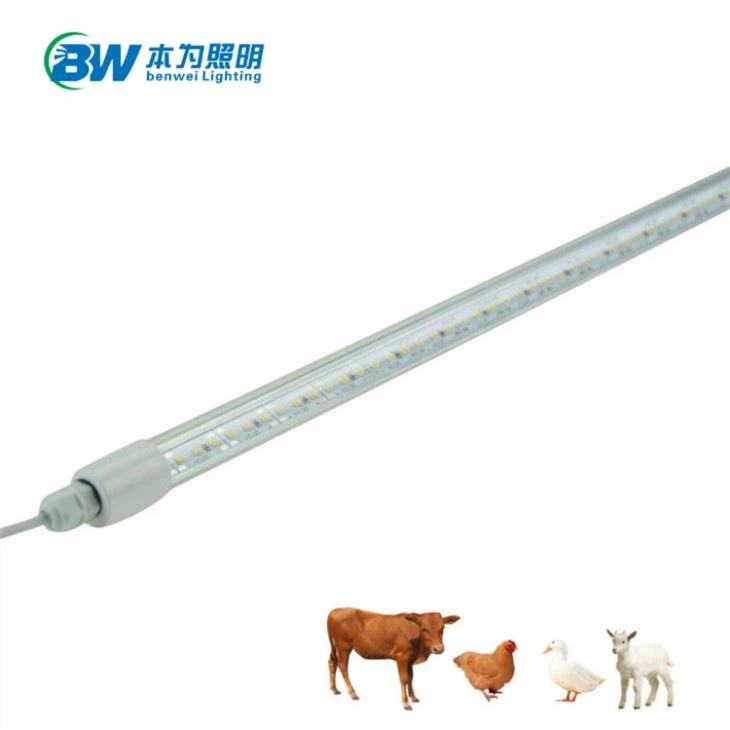 Đèn LED gia cầm có thể điều chỉnh độ sáng không thấm nước