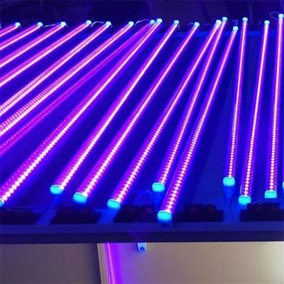 Đèn huỳnh quang UV