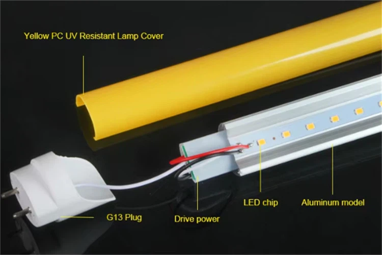 QQ20250319-091024 QQ20250319-091024