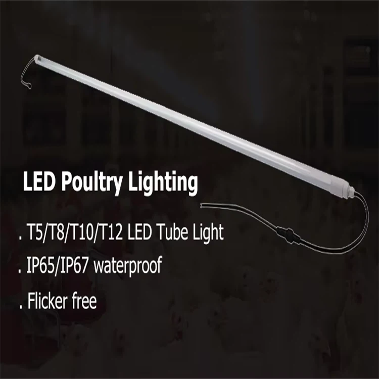 product-750-750