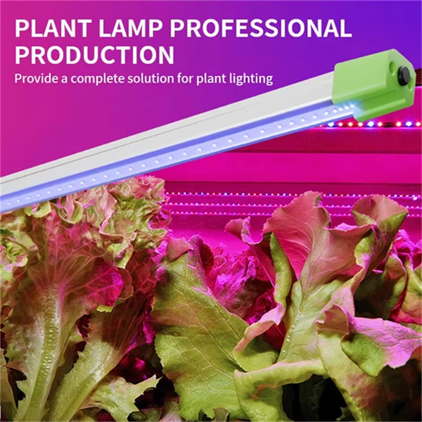 product-600-600