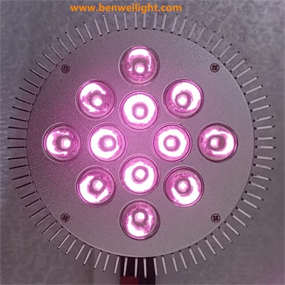 product-400-400 product-400-400