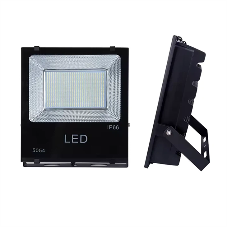 Security Light (2)