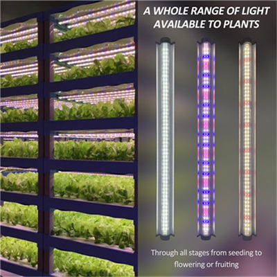 Đèn trồng trọt giống như mặt trời toàn phổ LED 1000 watt cho cây trồng trong nhà với chức năng chuỗi Daisy