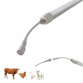 Đèn chăn nuôi gia súc
