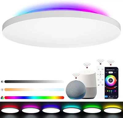 Đèn trần LED có thể điều chỉnh độ sáng 24W 2400lm, Đèn trần có điều khiển đèn nền RGB Điều khiển từ xa và ứng dụng
