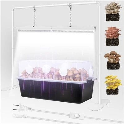Đèn ống cây nấm