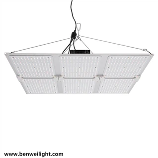 Đèn LED trồng trọt thương mại công suất cao 1000 watt