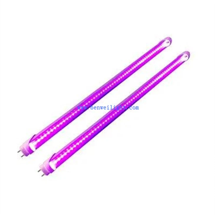 Ultraviolet Light With High UV Output (1)