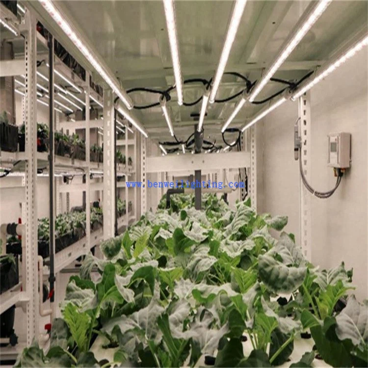 grow led tube installation 3